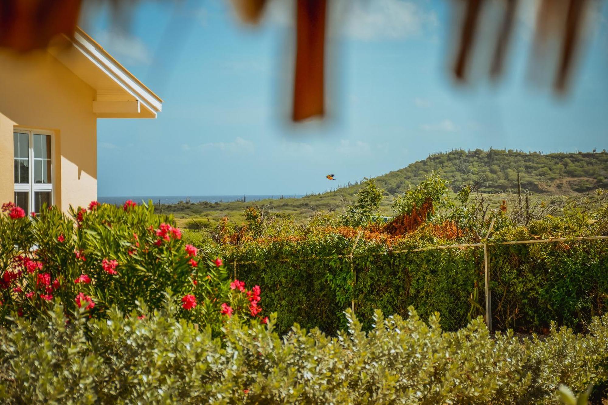 Santa Catharina Resort - Casa Samson Willemstad Exterior foto